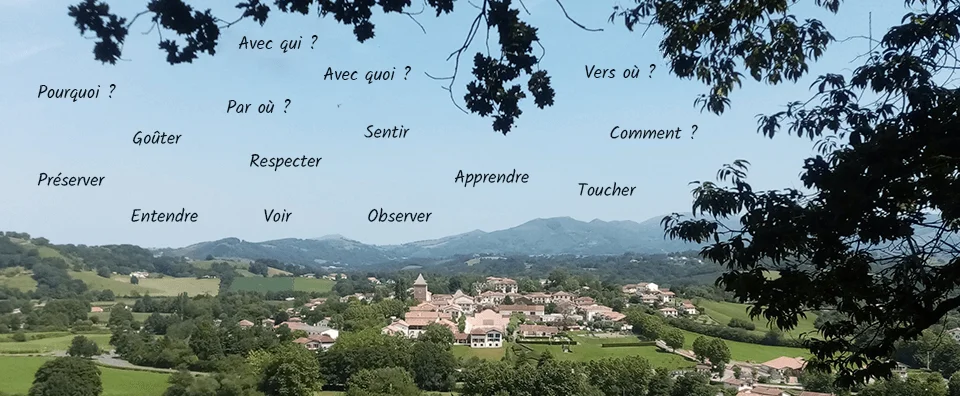 Avec qui ? Pourquoi ? Avec quoi ? Vers où ? Par où ? Goûter, Sentir, Comment ? Préserver, Entendre, Voir, Observer, Toucher, Apprendre, Respecter.